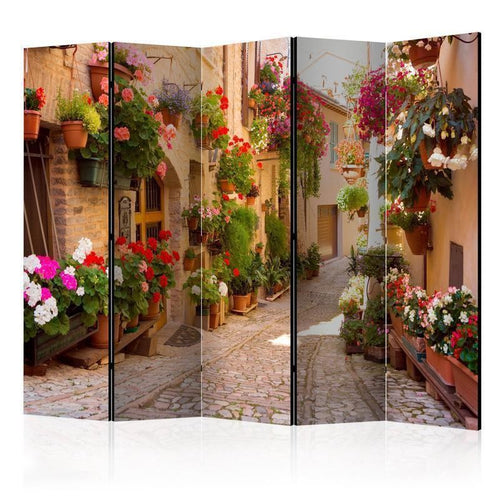 Paravento - The Alley in Spello (Italy) II
