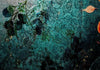 Carta da parati - Emerald Garden