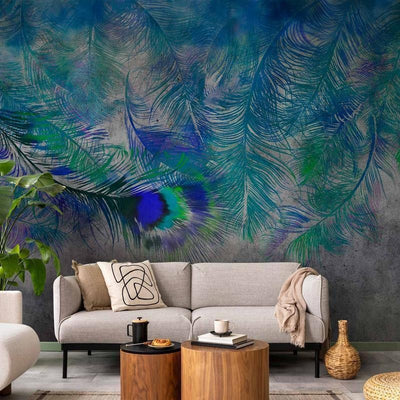 Carta da parati - Peacock Feathers
