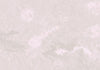Carta da parati - Pink Rock