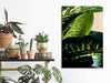 Quadro - Dieffenbachia (1 Part) Vertical