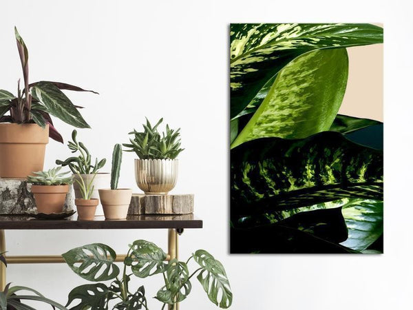 Quadro - Dieffenbachia (1 Part) Vertical