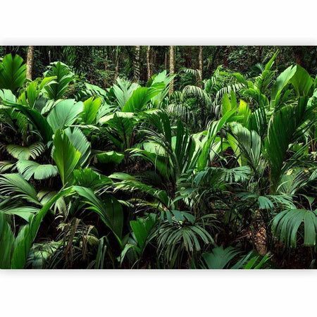 Carta da parati - Freshness of the Jungle