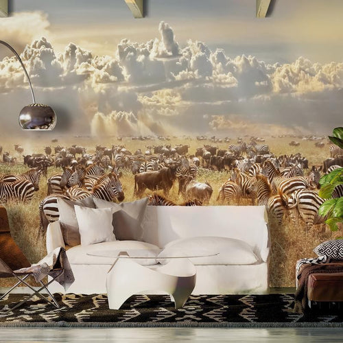 Carta da parati - Zebra Land