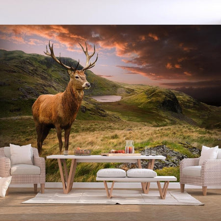Carta da parati - Deer on Hill