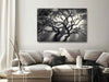 Quadro - Lighted Branches (1 Part) Wide