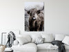Quadro - Highland Cow in Sepia