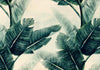 Carta da parati - Magic Plants - Third Variant