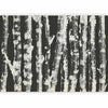 Carta da parati - Stately Birches - Second Variant