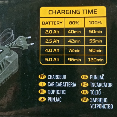 FF-Group CH 20V 3A caricabatterie universale per batterie ioni di litio