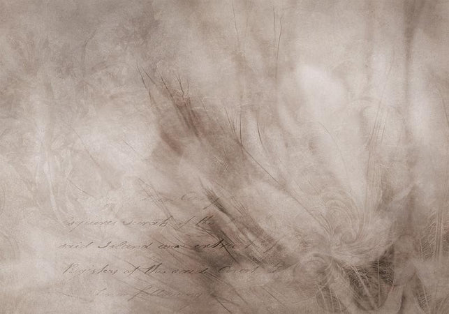 Carta da parati - Abstract scandi boho - delicate composition with lettering and flowers