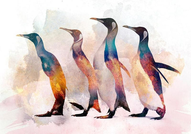 Carta da parati - Penguin Wandering