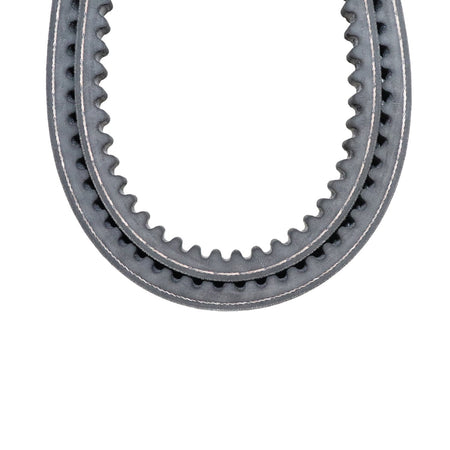 Cinghia BX 107 adattabile al riferimento originale BCS Duplex 36220017