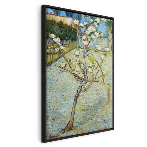 Quadro - Blossoming Pear Tree