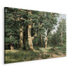 Quadro - Oak Forest