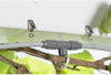 GARDENA UGELLI NEBULIZZATORI PER MICROIRRIGAZIONE -ORTO / GIARDINO PZ 3 --