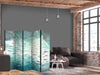 Paravento - Escaping Fish - Very Fast Swimming Fishes in Muted Colors Among Sea Depths