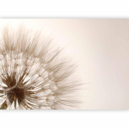 Carta da parati - Nature close-up - close-up motif of a blowfly flower in sepia