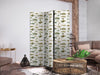 Paravento - Unusual Species of Fish - A Cluster of Fish in Muted Colors in Retro Style on a Background of Beige Strokes