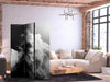Paravento - Clouds Like a Dream: Let the Sun Illuminate Your Day – A Visual Feast