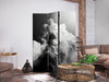 Paravento - Clouds Like a Dream: Let the Sun Illuminate Your Day – A Visual Feast