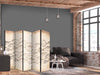 Paravento - Sketch of a Fish School - Sketches of Various Fish Species Swimming in a School on a Beige Background in Vin