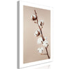 Quadro - Softness of Cotton (1 Part) Vertical