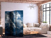 Paravento - Astronomical Wonders: Clouds and Stars in Harmonious Combination