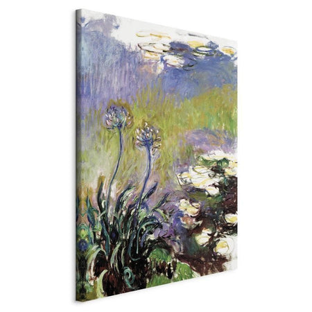 Quadro - Agapanthus