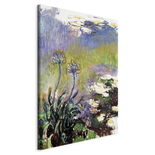 Quadro - Agapanthus