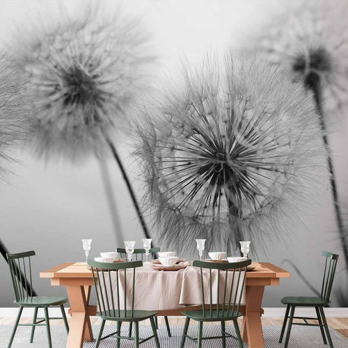 Carta da parati - Time for Dandelions - Second Variant