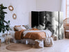 Paravento - Clouds Like a Dream: Let the Sun Light Up Your Day – A Visual Feast