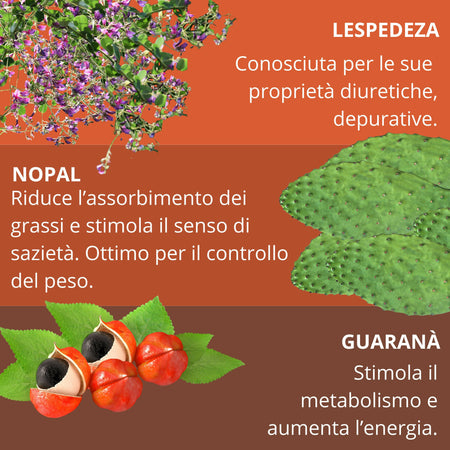 Integratore Dimagrante Naturale – Supporto per Controllo della Fame e Metabolismo | Formula con Ingredienti Selezionati | Ideale per Dieta ed Equilibrio Alimentare Nopaliv 60 Compresse