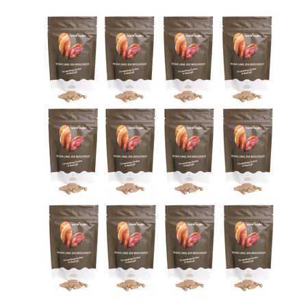 Reishi - Ganoderma Lucidum - Ling Zhi biologico, 90 capsule