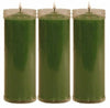 VELÒN VERDE CM 14 X 5.5 CON TUBO PROTECTOR X 3 PZ