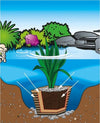 4 Pezzi Terriccio per Piante Acquatiche Laghetto Ciascuna da Litri 15 Giardino e giardinaggio/Giardinaggio/Terra terricci e pacciami/Terra/Vegetali Ogomondo - Martina Franca, Commerciovirtuoso.it