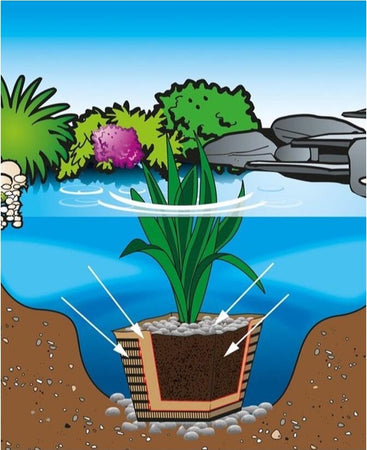 4 Pezzi Terriccio per Piante Acquatiche Laghetto Ciascuna da Litri 15 Giardino e giardinaggio/Giardinaggio/Terra terricci e pacciami/Terra/Vegetali Ogomondo - Martina Franca, Commerciovirtuoso.it