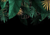 Carta da parati - Jungle and composition - motif of green and golden leaves on a black background