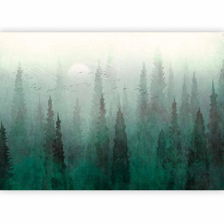 Carta da parati - Birds eye perspective - landscape of a green forest with trees in the mist