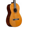 Chitarra classica c40 standard - GC40PSTANDARD