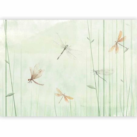 Carta da parati - Dragonflies in the Meadow