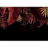 Carta da parati - Jungle and composition - red and gold leaf motif on black background