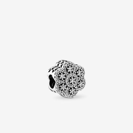 Fiore Cristallizzato