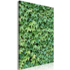 Quadro - Thick Ivy (1 Part) Vertical