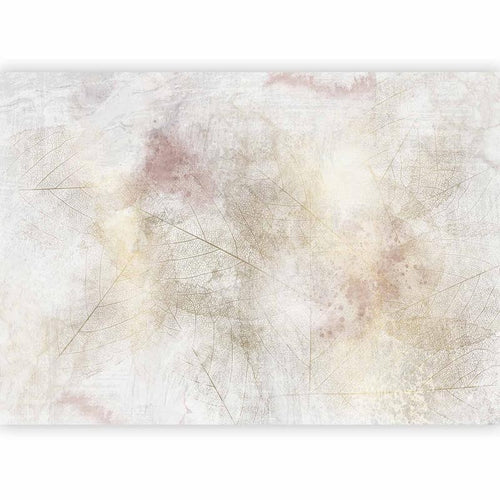 Carta da parati - Summer memory - abstract background with shadow of dried leaves