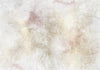 Carta da parati - Summer memory - abstract background with shadow of dried leaves