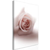 Quadro - Floral Glamour Glow (1-part) - Delicate and Pastel Pink Rose