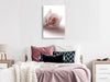 Quadro - Floral Glamour Glow (1-part) - Delicate and Pastel Pink Rose