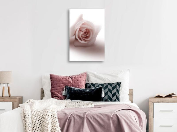 Quadro - Floral Glamour Glow (1-part) - Delicate and Pastel Pink Rose