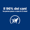 Hill's Prescription Diet Metabolic secco Cani Adulti agnello